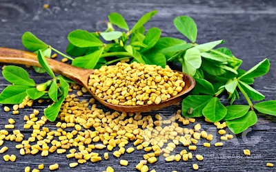 خواص بذر شنبلیله