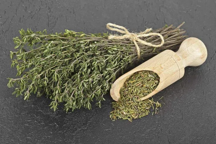 خواص دمنوش آویشن برای سلامتی چیست؟