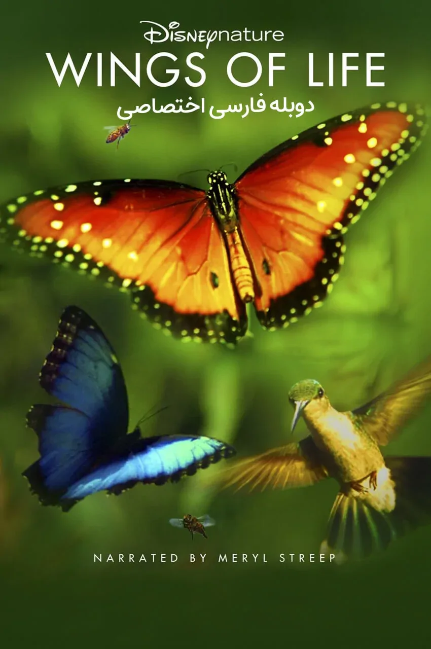 بال های زندگی