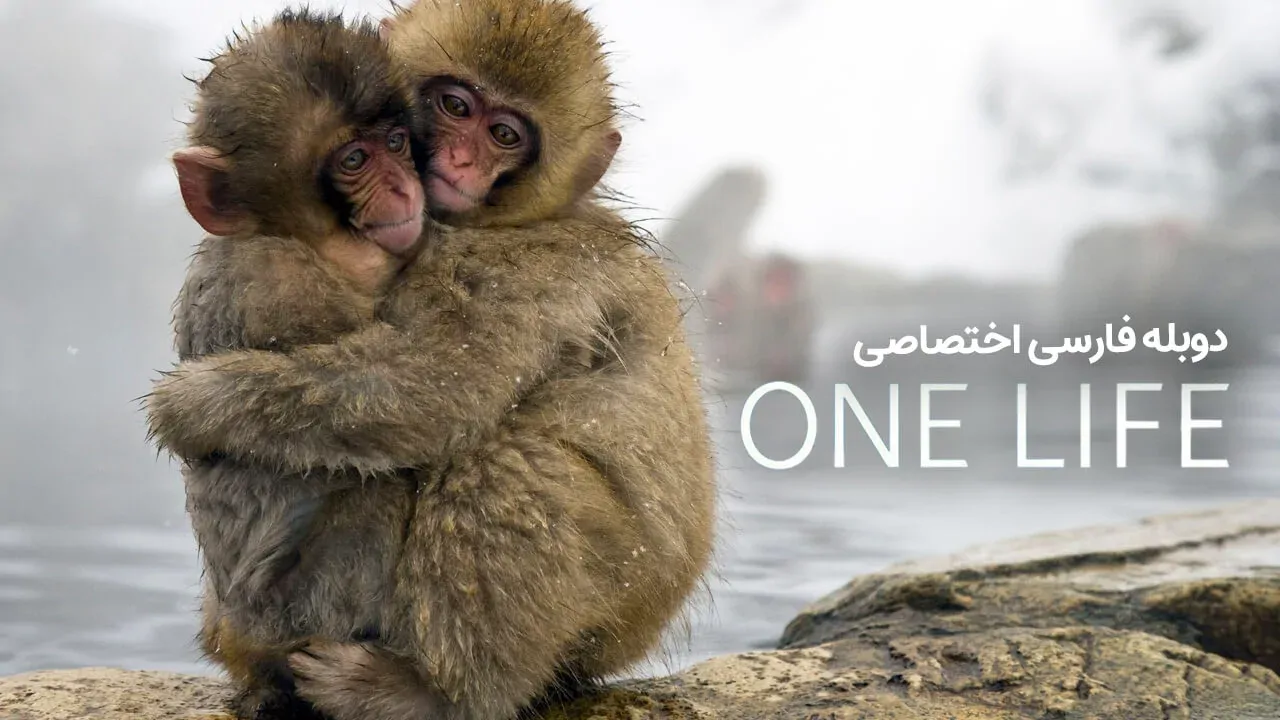 یک زندگی