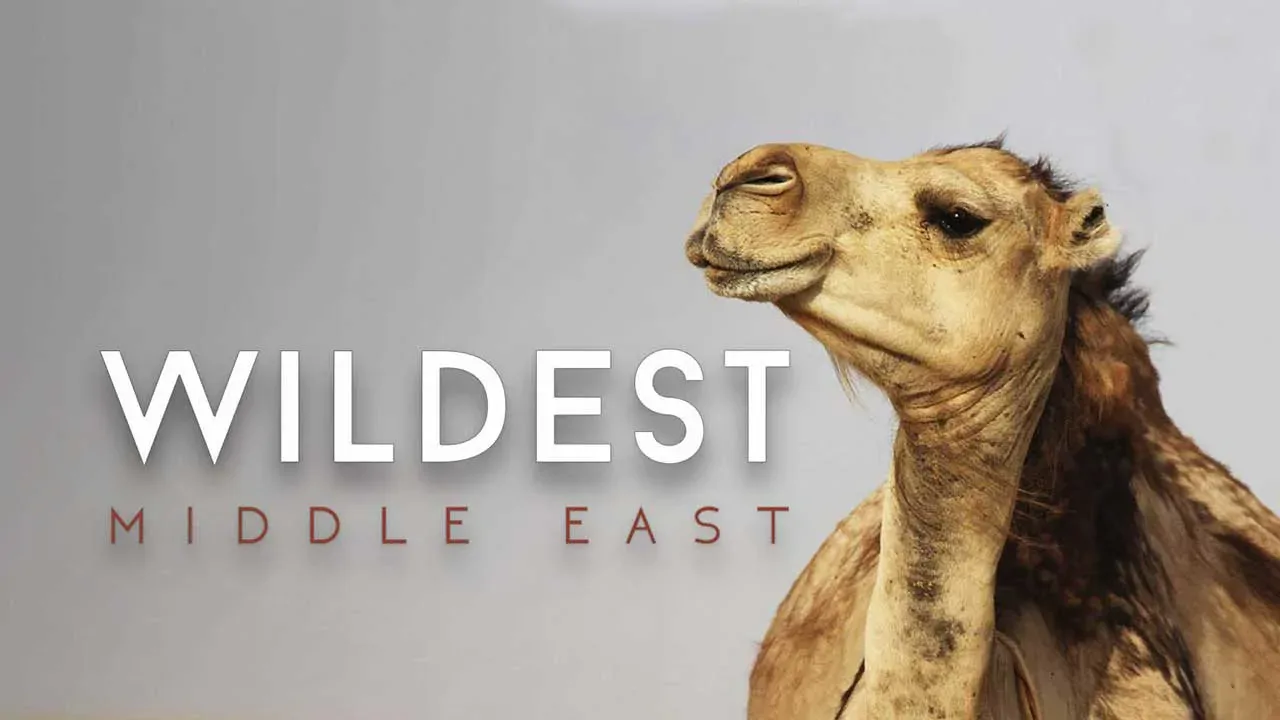 حیات وحش خاورمیانه