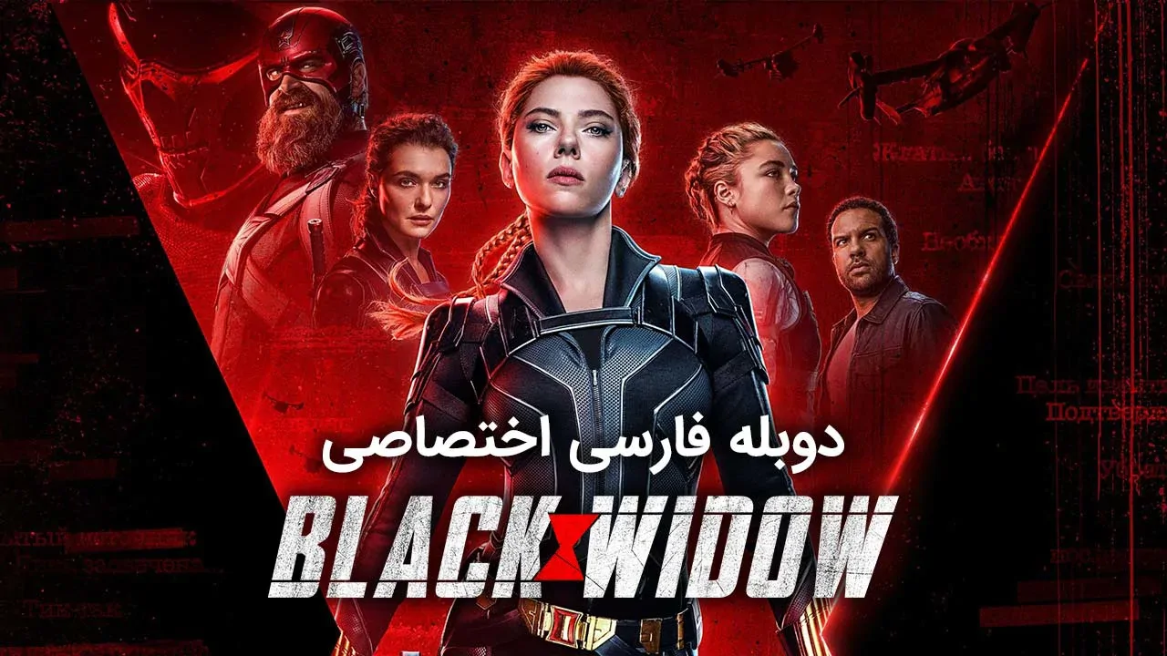 بیوه سیاه
