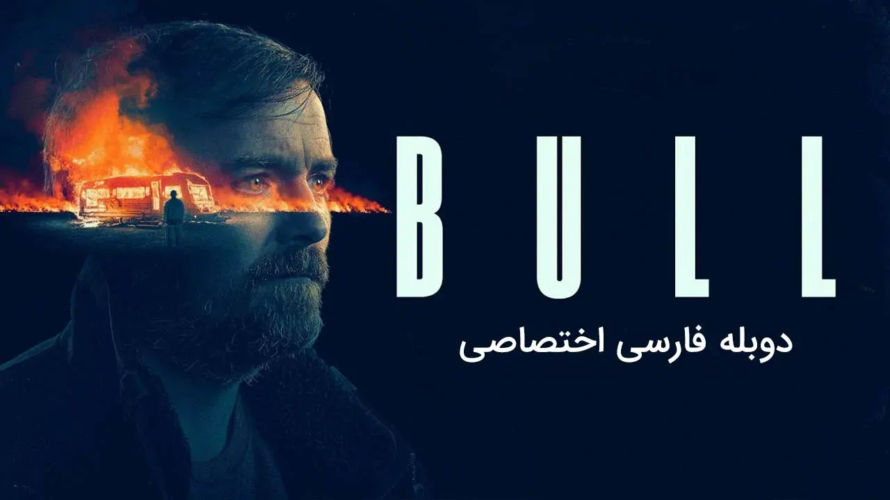 گاو نر