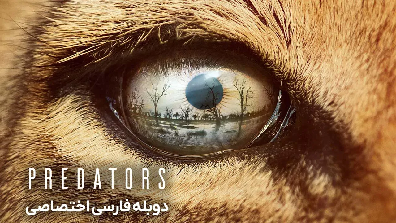 قسمت 2 - خرس قطبی