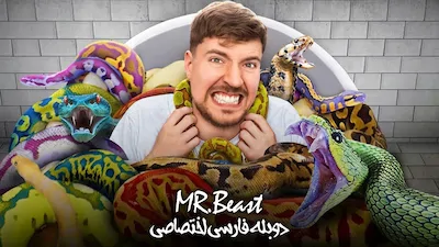 مستر بیست - فصل 1 قسمت 1