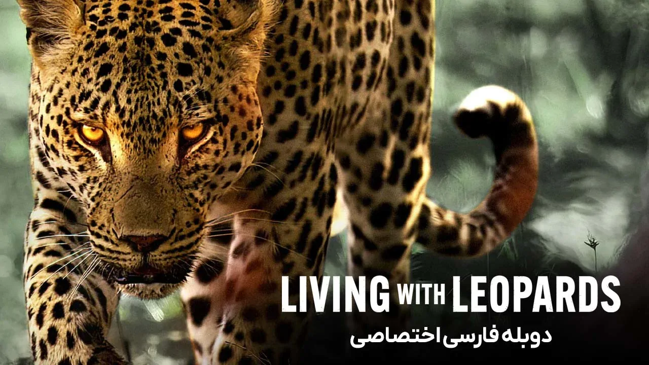 زندگی با پلنگ ها
