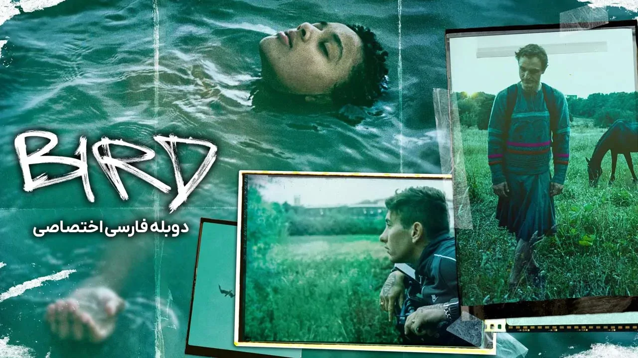 پرنده