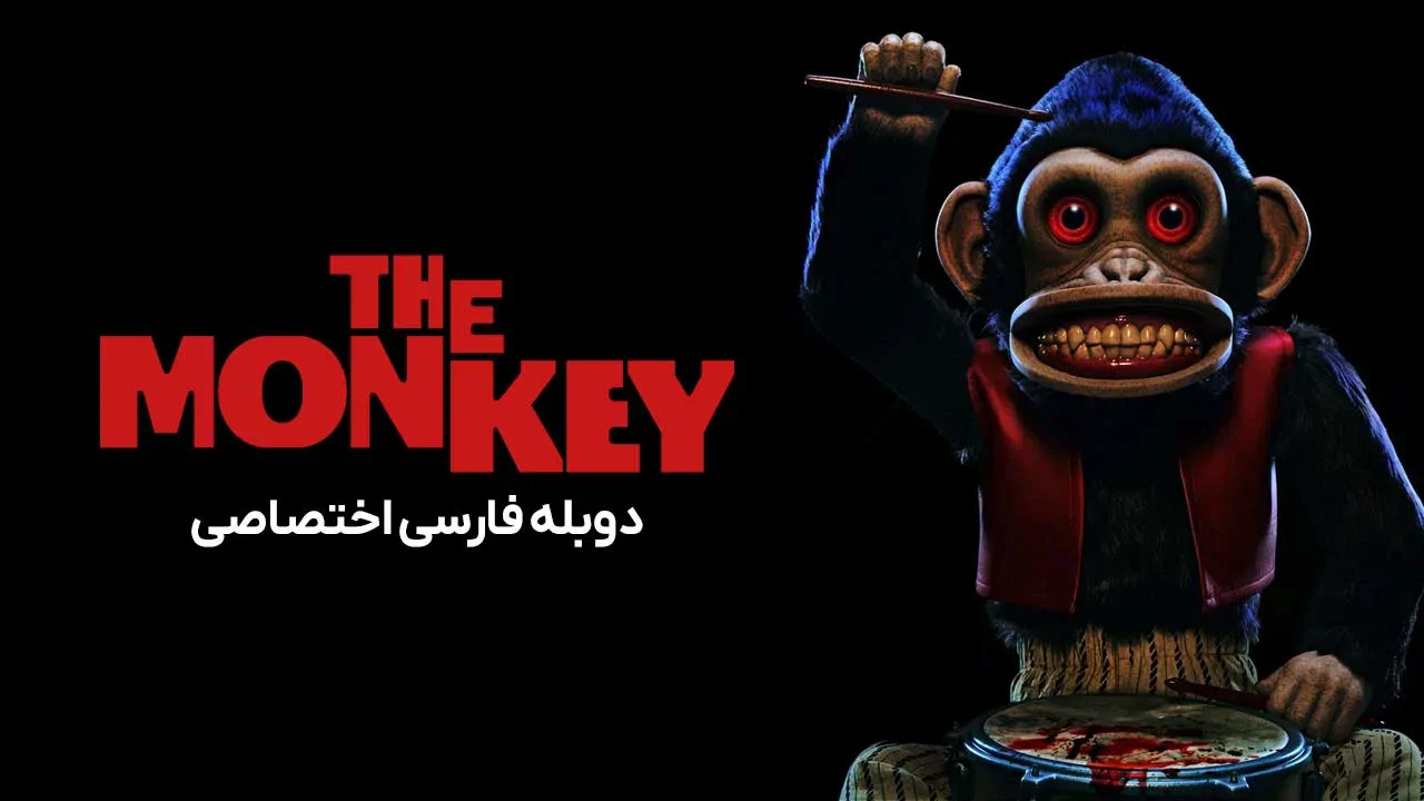 میمون