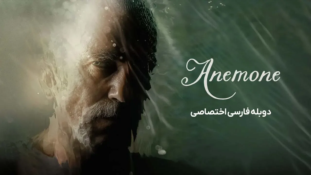شقایق