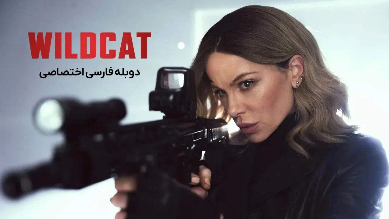 گربه وحشی