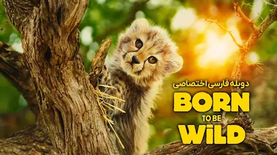 زاده برای وحشی بودن - فصل 1 قسمت 1