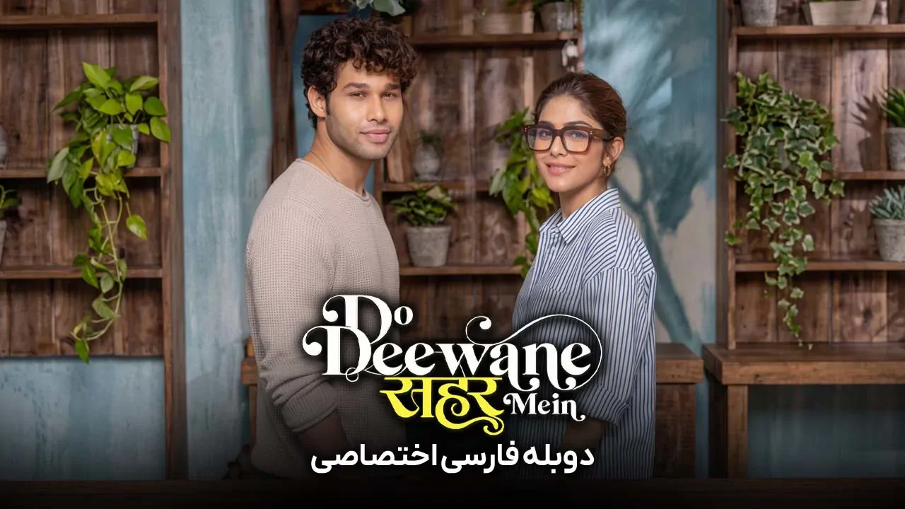 دو دیوانه در شهر